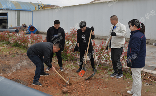 植樹活動 | 綠水青山就是金山銀山，東方爐襯組織員工義務(wù)植樹